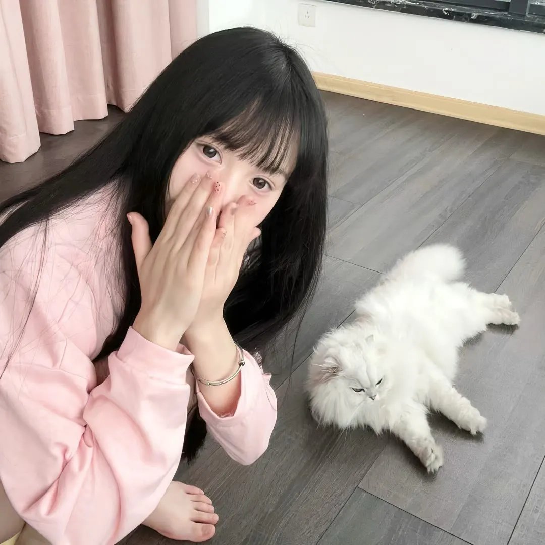 超级救援狗
